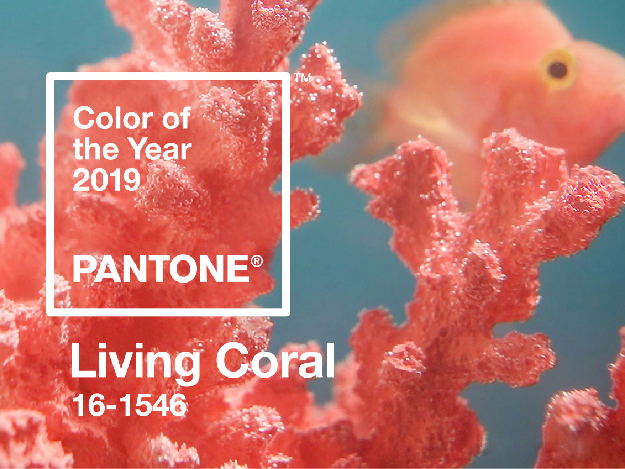 Pantone 发布 2019 年度流行色 -- 珊瑚橙