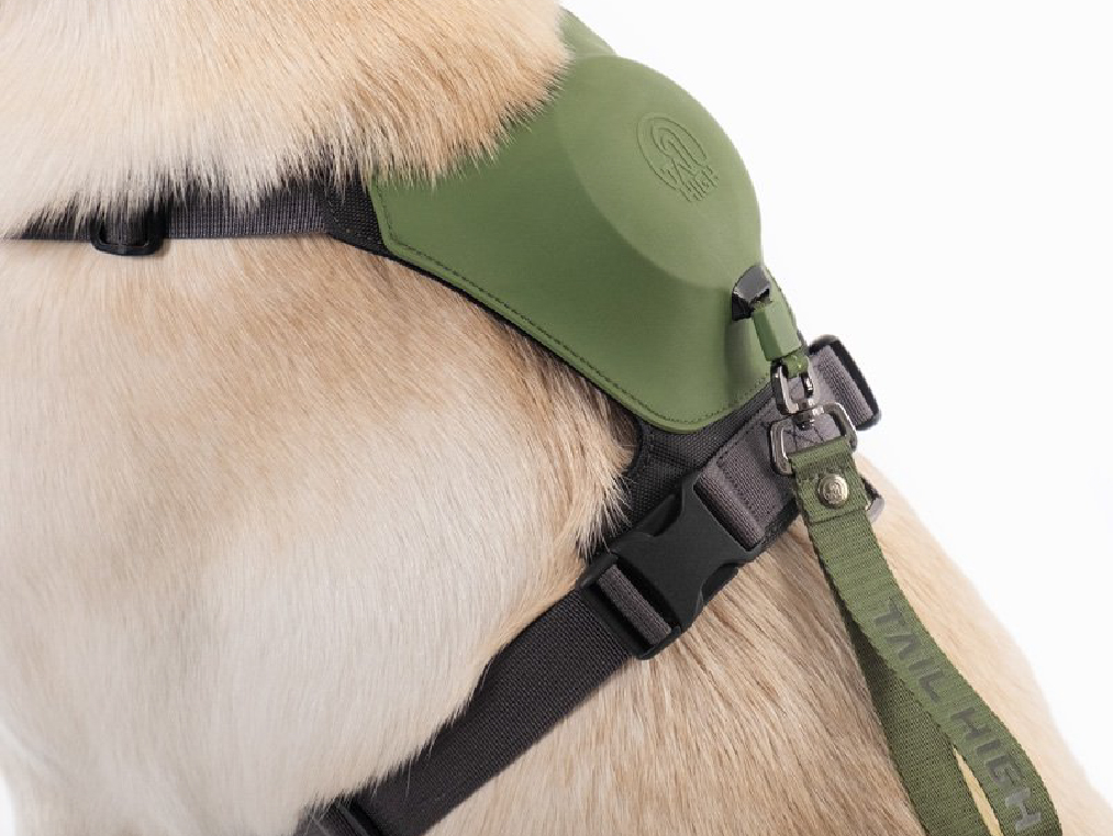 BKID 打造混合型可伸缩犬用胸背牵引绳